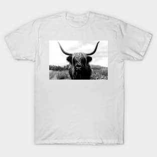 Scottish Highland Cattle - Black and White Animal Photography T-Shirt